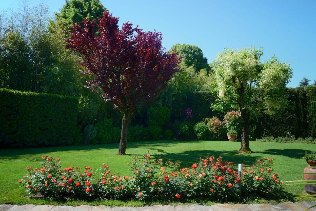 Villa Le Facezie B&B Terranuova Bracciolini Bagian luar foto