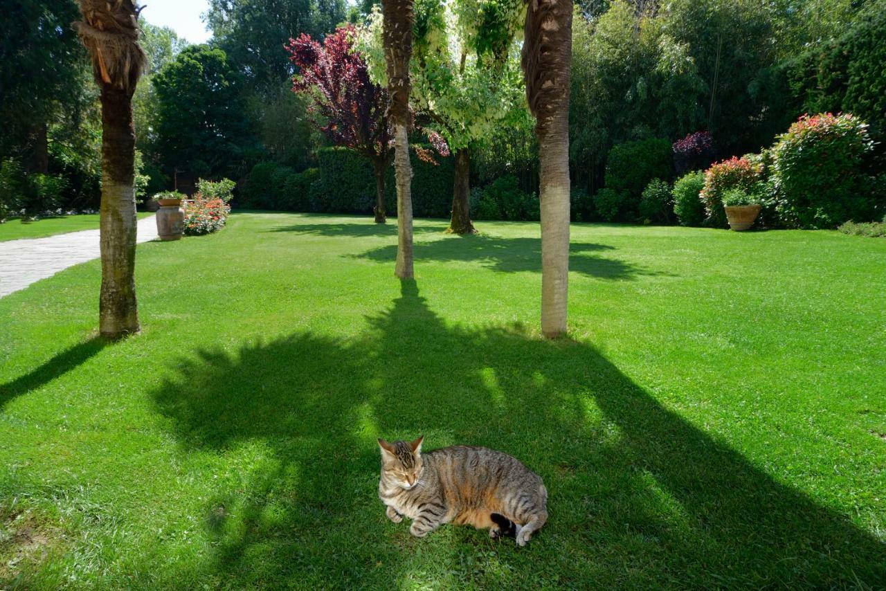 Villa Le Facezie B&B Terranuova Bracciolini Bagian luar foto