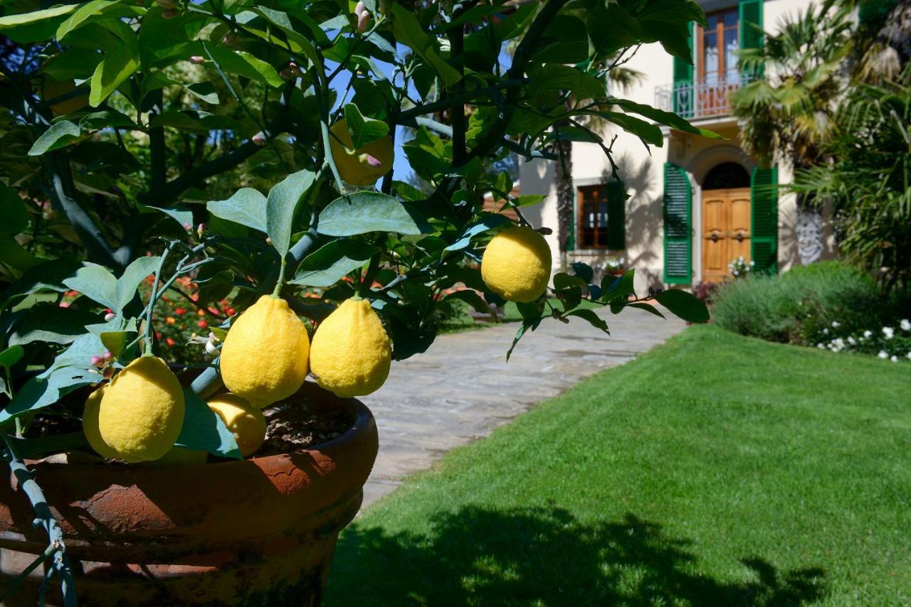 Villa Le Facezie B&B Terranuova Bracciolini Bagian luar foto