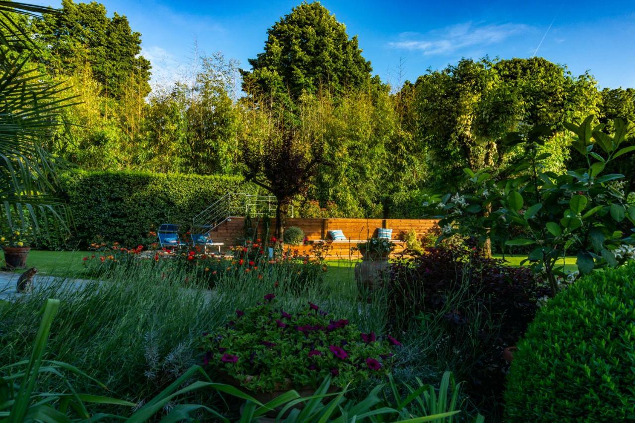 Villa Le Facezie B&B Terranuova Bracciolini Bagian luar foto